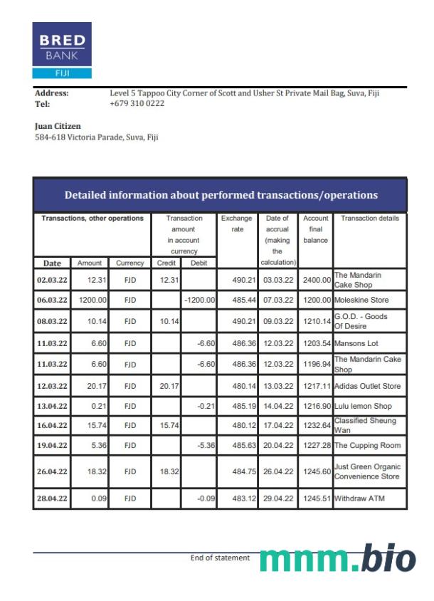 Szablon wyciągu bankowego Fidżi Bank Of South Pacific w programie Word i PDF